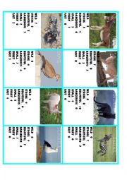 comparision game with animals 3