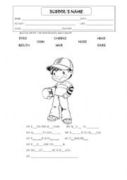 English Worksheet: PARTS OF THE FACE