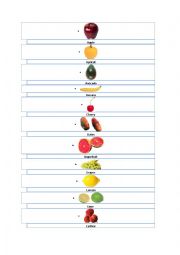 English Worksheet: the fruits in english