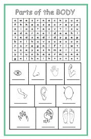 English Worksheet: Parts of the body - Word Search