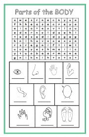 Parts of the body - Word Search