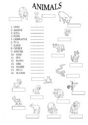 English Worksheet: Animals