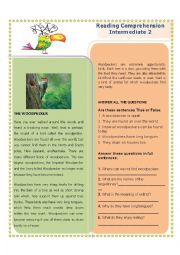 English Worksheet: The Woodpecker