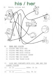 English Worksheet: HIS/ HER