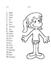 English Worksheet: Body parts