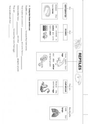 English Worksheet: REPTILES