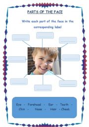 English Worksheet: Parts of the face