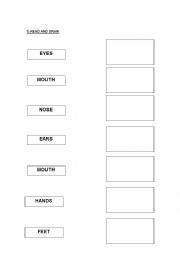 Parts of the body worksheet