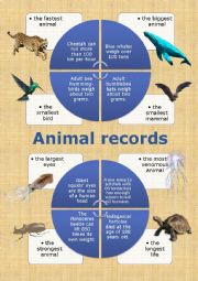 English Worksheet: Animal Records