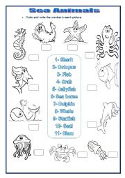 English Worksheet: SEA ANIMALS