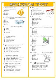English Worksheet: REVISION TEST FOR SEVENTH GRADERS TWO PAGES