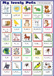 English Worksheet: My lovely Pets * missing vowels
