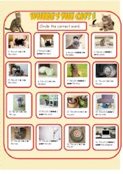 English Worksheet: Where�s the Cat 1