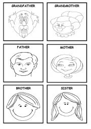 Family - Flash cards