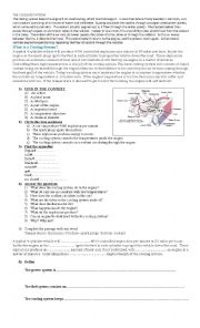 English Worksheet: THE COOLING SYSTEM
