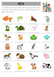 English Worksheet: Pets