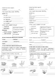 English Worksheet: CLASSWORK 