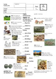 English Worksheet: History: Celts Vocabulary