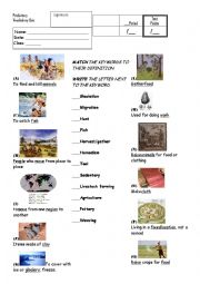 English Worksheet: History: Prehistory Vocabulary