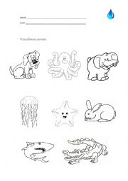 English Worksheet: Animals