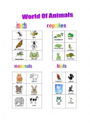 English Worksheet: World of Animals