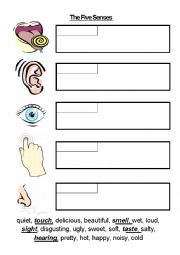 English Worksheet: The Five Senses