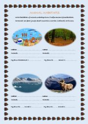 English Worksheet: Animal Habitats