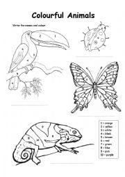 Colour by numbers. Exotic animals