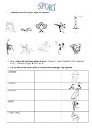 sport worksheet