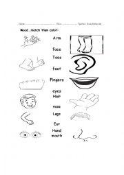 English Worksheet: body parts 