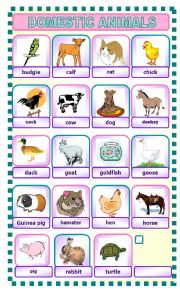 English Worksheet: DOMESTIC ANIMALS