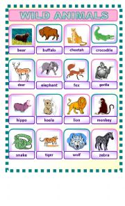 English Worksheet: WILD ANIMALS