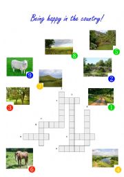 English Worksheet: Crossword Being happy in the country
