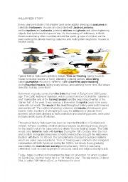 English Worksheet: halloween story