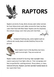 English Worksheet: Raptors (Birds)