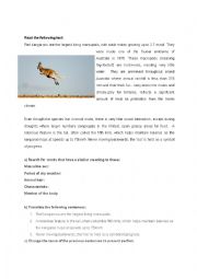 English Worksheet: Red kangaroos
