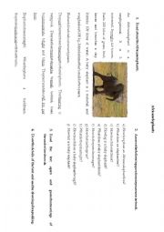 English Worksheet: African elephants