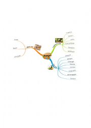 mindmap 