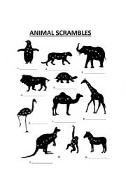 English Worksheet: Animal Scrambles