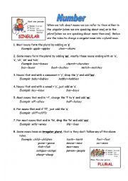 English Worksheet: Number