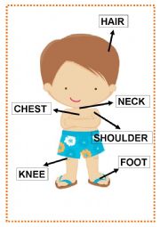 English Worksheet: Body parts