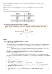 English Worksheet: exam for 12th grade