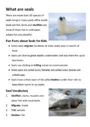 English Worksheet: Seals worksheet