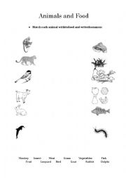 English Worksheet: Food and Animals
