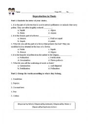 English Worksheet: Science Worksheet- The Plants
