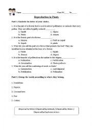 Science Worksheet- The Plants