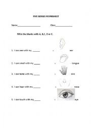 English Worksheet: The five Senses