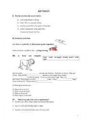 English Worksheet: grammar practice