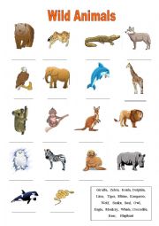 English Worksheet: Wild Animals Vocabulary