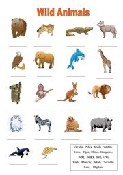 Wild Animals Vocabulary